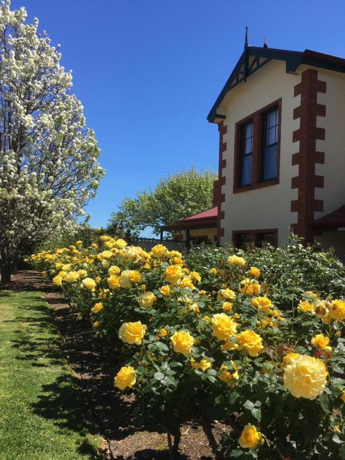 Wine And Roses Bed And Breakfast Adelaide Eksteriør billede