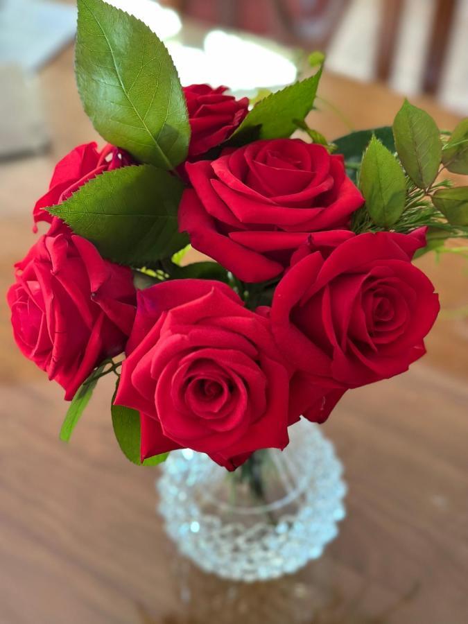 Wine And Roses Bed And Breakfast Adelaide Eksteriør billede
