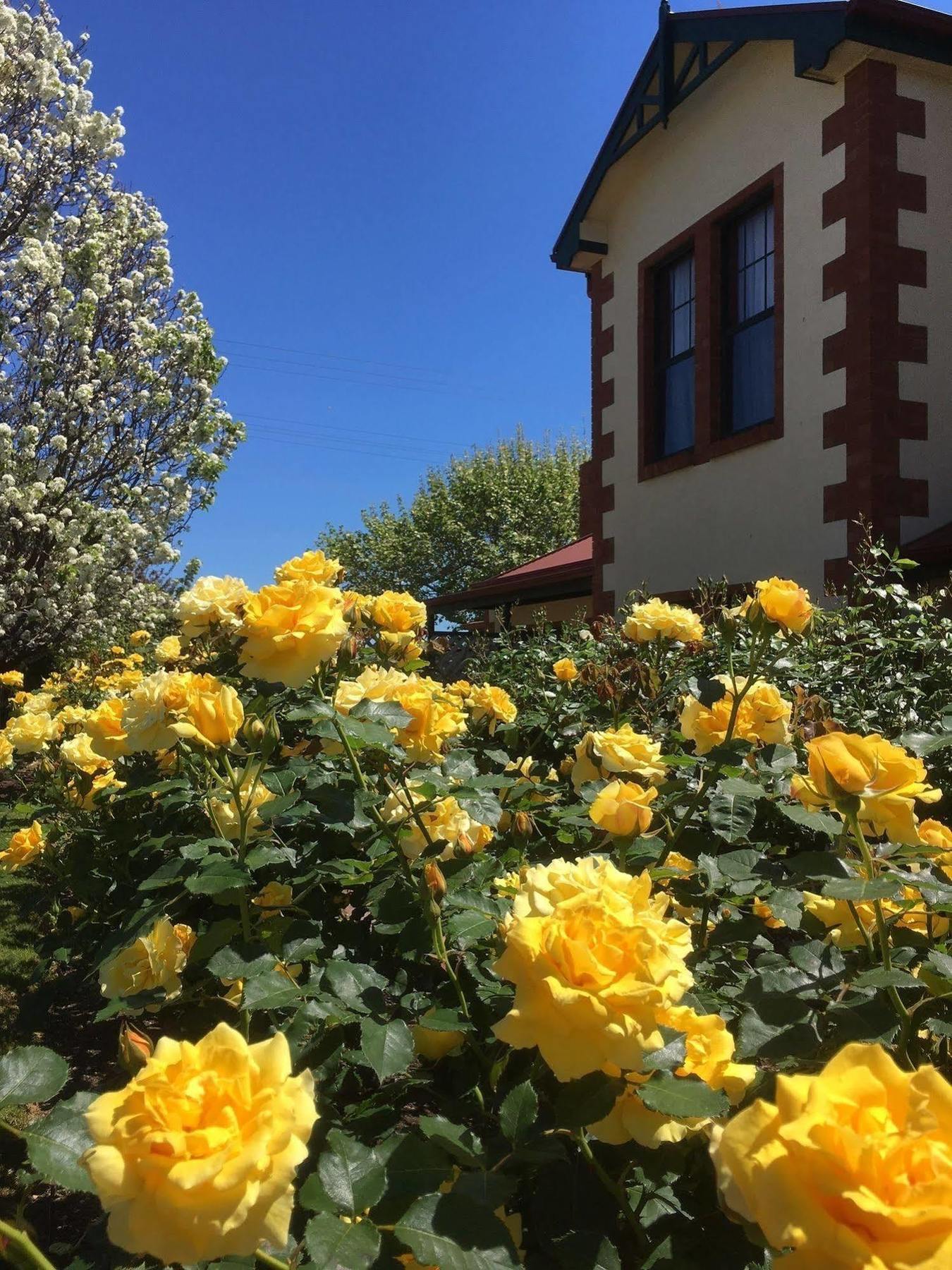 Wine And Roses Bed And Breakfast Adelaide Eksteriør billede